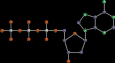 脱氧腺苷三磷酸