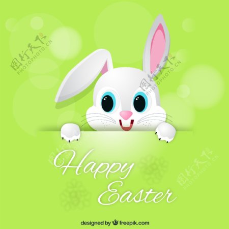 可爱复活节兔子贺卡图片