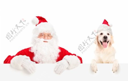 圣诞老人与狗狗图片