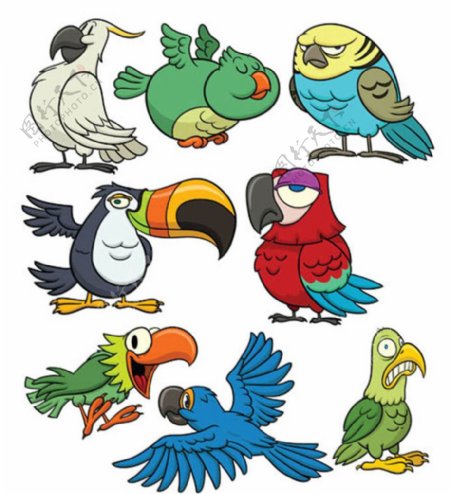 各种鸟卡通图图片