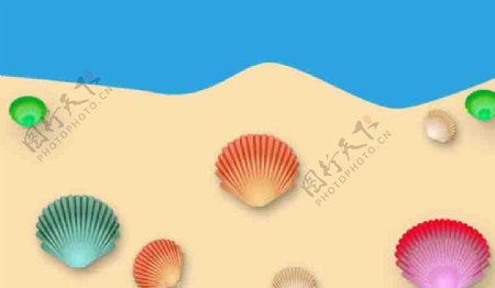 彩色贝壳沙滩海水图片