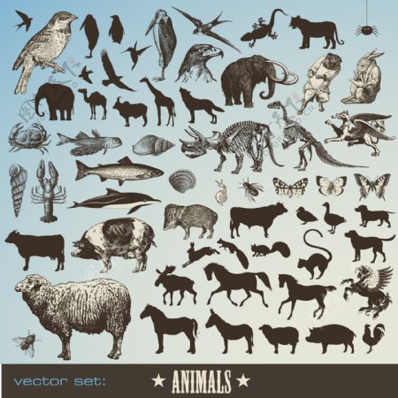 动物图标矢量素材图片