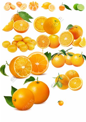 高清水果鲜果桔子橙子图片