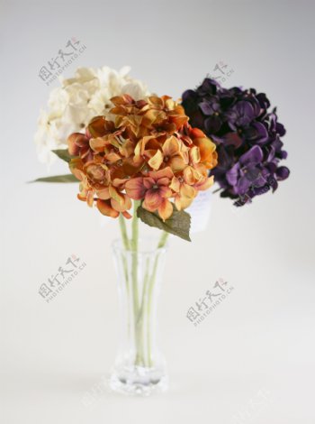 塑胶花卉花瓣花束图片