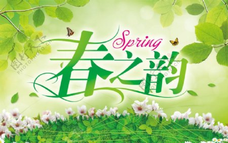 春之韵图片