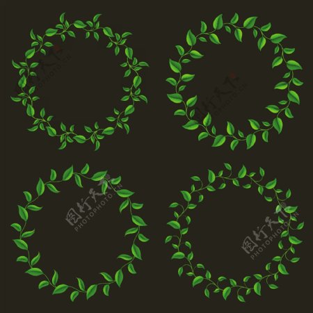 绿叶花圈花环图片