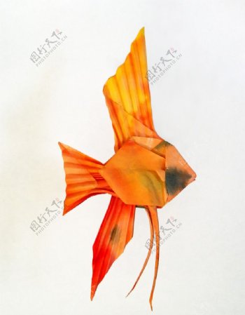 折纸神仙鱼图片