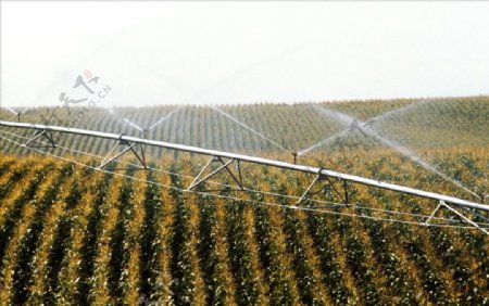 沟渠谷物灌溉图片