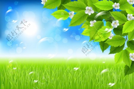 草地绿叶鲜花春天背景图片