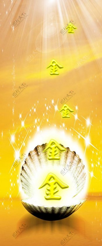 黄金贝壳图片
