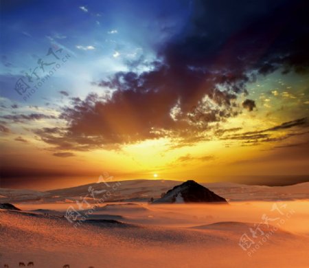 美丽的沙漠日出图片