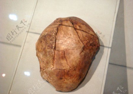 文物古董原始人头盖骨图片