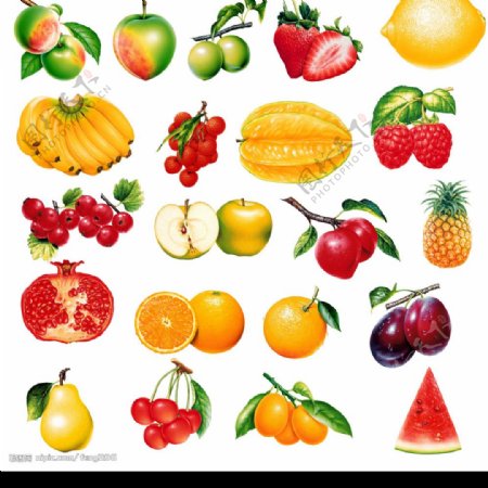 手繪水果素材图片