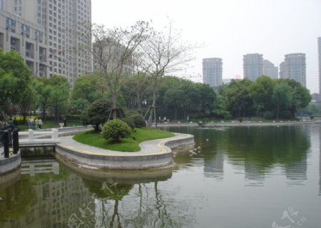 上海市中心公园绿地图片