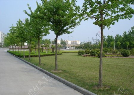 校园景观图片