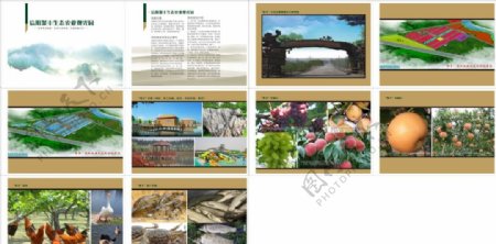 生态农业观光园规划画册图片