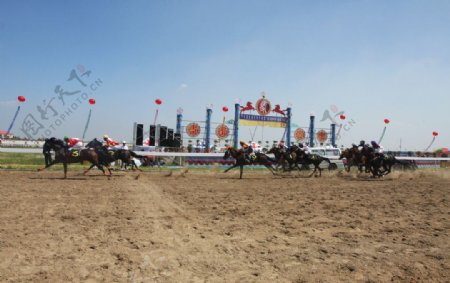 中国马速度大赛图片