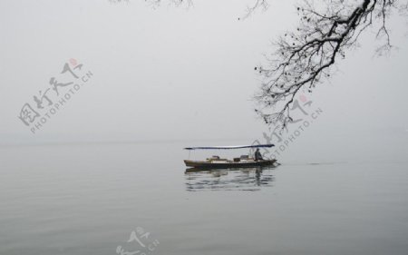 西湖风景图片