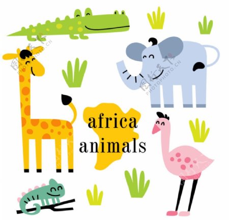 幼儿园的非洲动物图片
