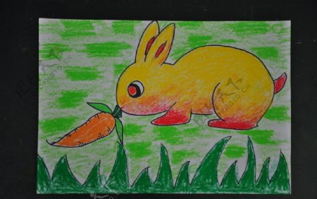 小兔吃胡萝卜图片