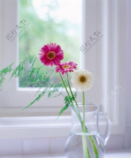 窗前鲜花插花图片