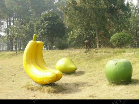 香蕉梨图片