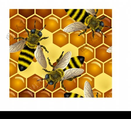 蜜蜂主题插画矢量素材图片