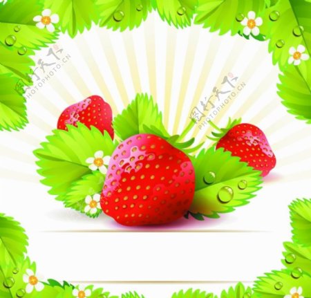 绿叶鲜花草莓图片