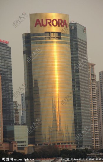 上海震旦大厦图片
