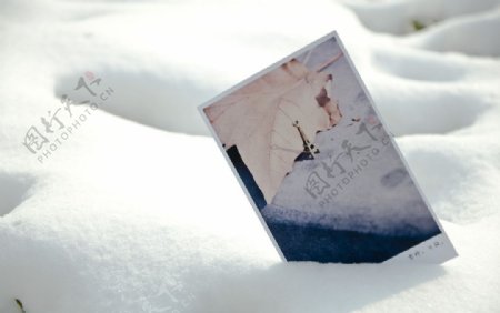 雪与明信片图片