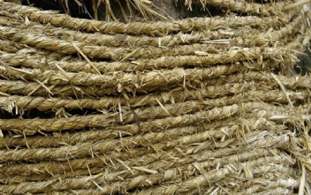 稻草绳图片