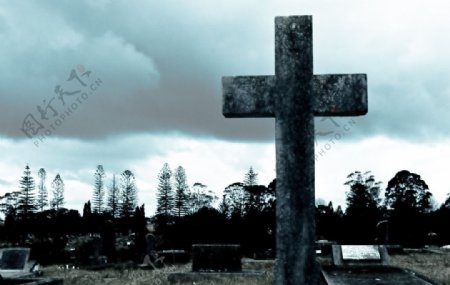 墓地中的十字架图片
