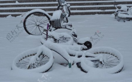 雪中自行车图片