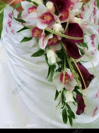 婚礼花球新娘花球鲜花图片
