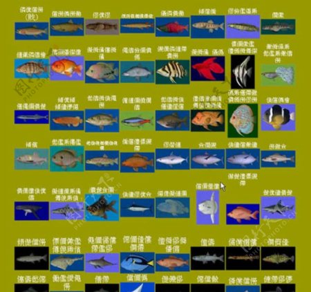 40种鱼模型带贴图图片