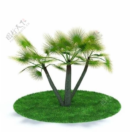 3D精致绿色树木模型图片