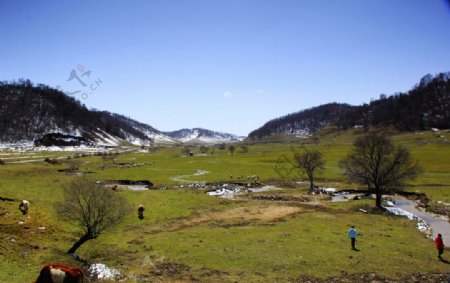 初春的关山牧场图片