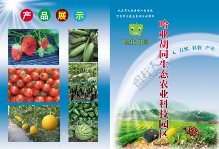 生态农业封面图片