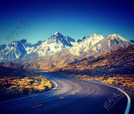 西藏公路雪山图片