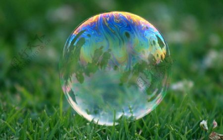 草地上的肥皂泡泡图片