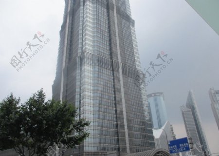 上海金茂大厦上海摩天大楼图片