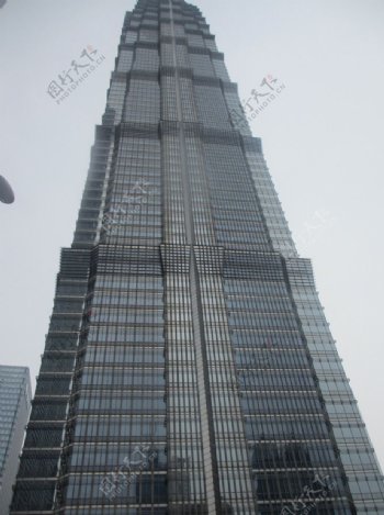 上海金茂大厦上海摩天大楼图片