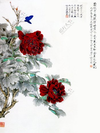 中国传统文化报春水彩画图片