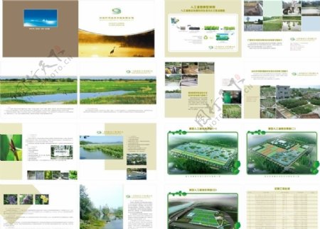 湿地画册图片