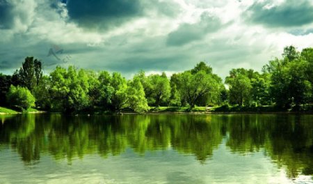 湖泊树林美景风光图片