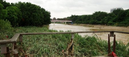 深圳龙岗河景观图片