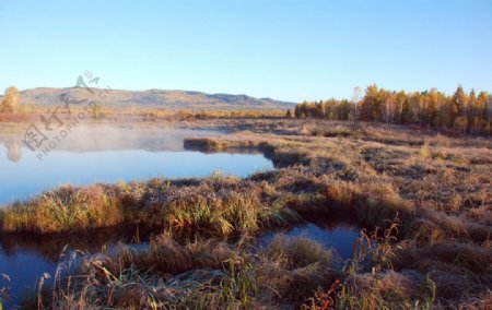 即将消失的湿地之秋图片