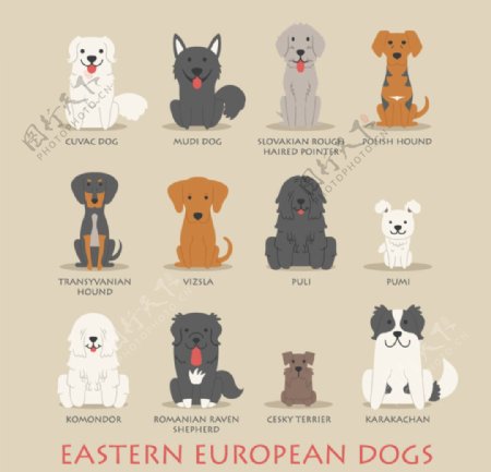 卡通东欧宠物狗设计图片