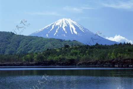 富士山夏景图片