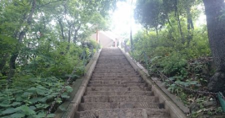 登山台阶图片